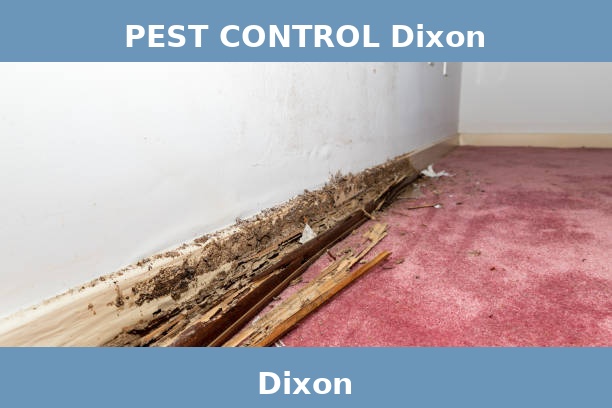PEST CONTROL Dixon